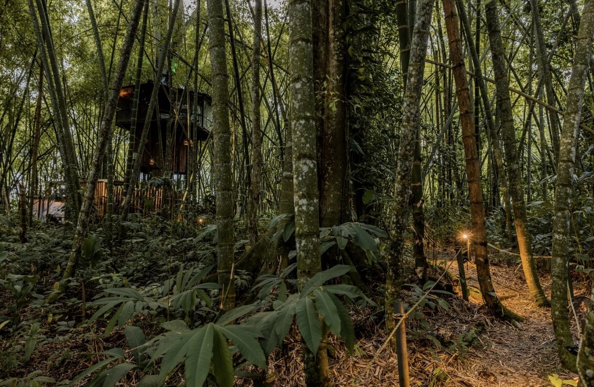 Casa en el Árbol